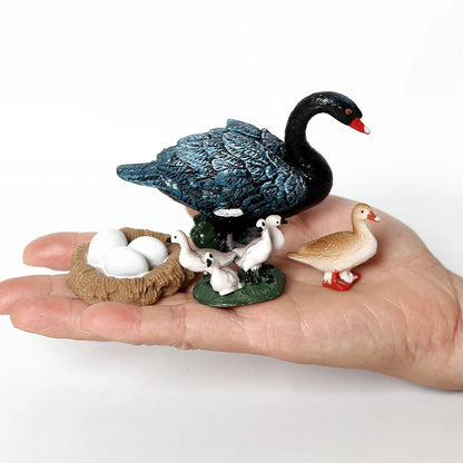 Set Educatieve Figuren: Levenscyclus van Vogels