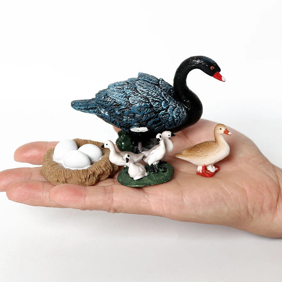 Set Educatieve Figuren: Levenscyclus van Vogels