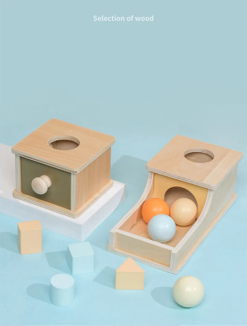 Montessori 4-in-1 Speelset: Objectpermanentie, Muntdrop, Worteloogst & Vormensorteerder