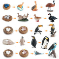Set Educatieve Figuren: Levenscyclus van Vogels