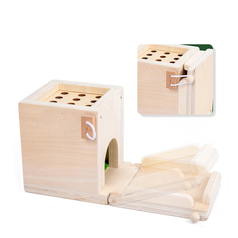 Montessori 4-in-1 Speelset: Objectpermanentie, Muntdrop, Worteloogst & Vormensorteerder