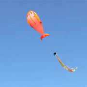 Orange Dolphin