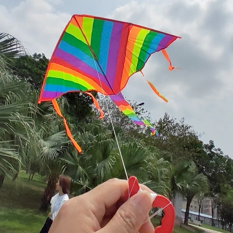 Kleurrijke Regenboog Vlieger voor Buitenplezier voor Kinderen