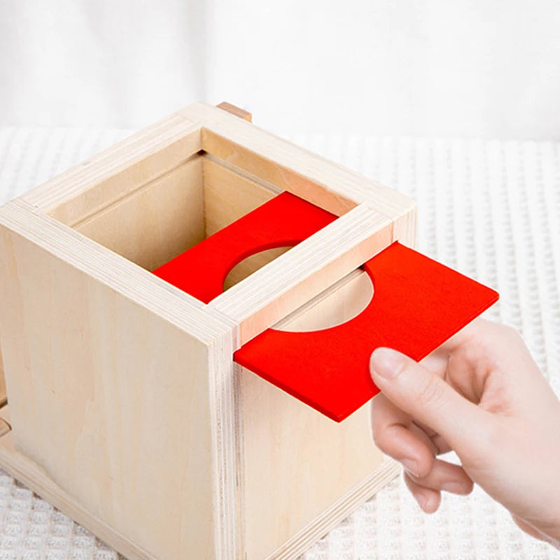 Montessori 4-in-1 Speelset: Objectpermanentie, Muntdrop, Worteloogst & Vormensorteerder
