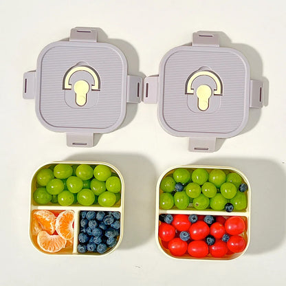 Draagbare Plastic Lunchbox met Vakken - Lekvrij & Magnetronbestendig voor Kinderen