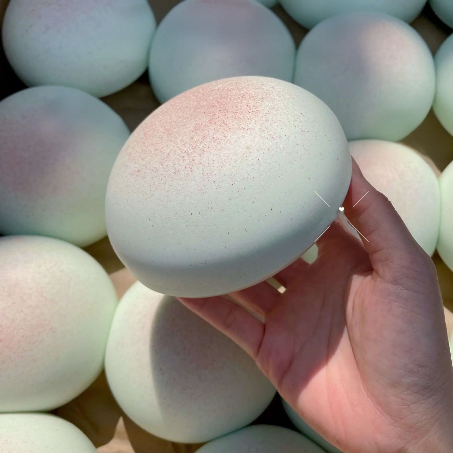 Squishy Knijpspeeltje in Broodvorm voor Volwassenen