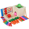 6-in-1 Houten Montessori Speelbox
