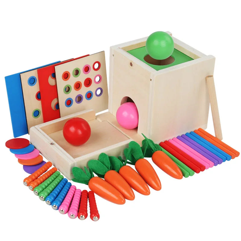 6-in-1 Houten Montessori Speelbox
