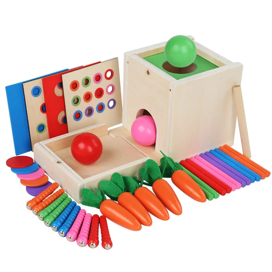 6-in-1 Houten Montessori Speelbox