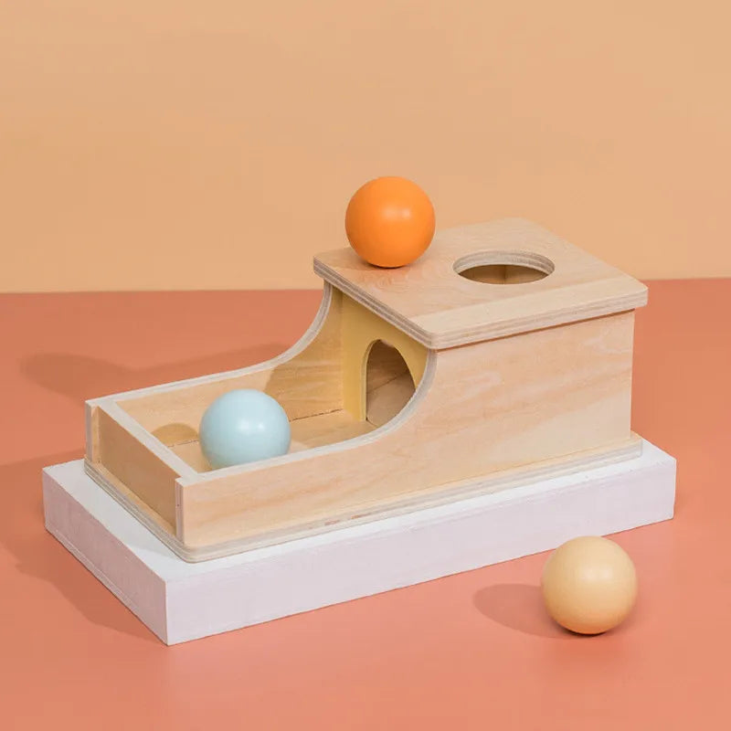 Montessori 4-in-1 Speelset: Objectpermanentie, Muntdrop, Worteloogst & Vormensorteerder