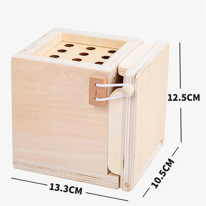 Montessori 4-in-1 Speelset: Objectpermanentie, Muntdrop, Worteloogst & Vormensorteerder