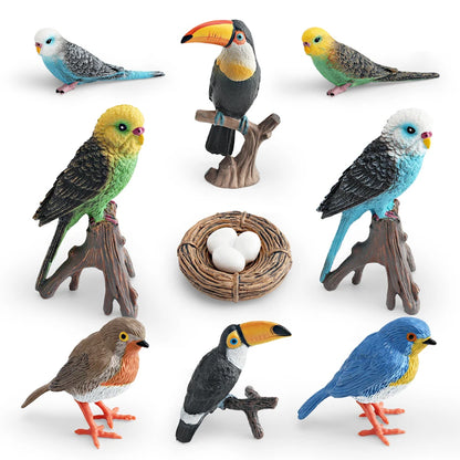 Set Educatieve Figuren: Levenscyclus van Vogels