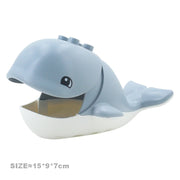 Witte buik walvis