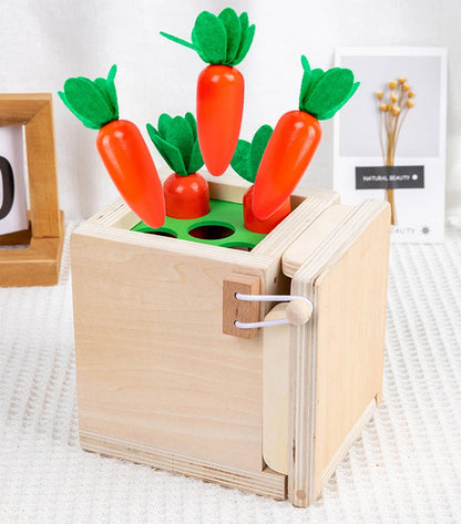 Montessori 4-in-1 Speelset: Objectpermanentie, Muntdrop, Worteloogst & Vormensorteerder