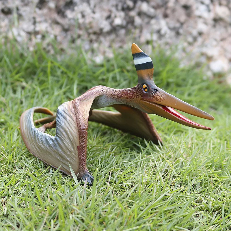Dinosaurus model Pterodactyl figuur