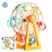 Dam Ferris Wheel