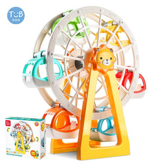 Dam Ferris Wheel