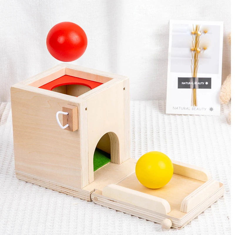 Montessori 4-in-1 Speelset: Objectpermanentie, Muntdrop, Worteloogst & Vormensorteerder
