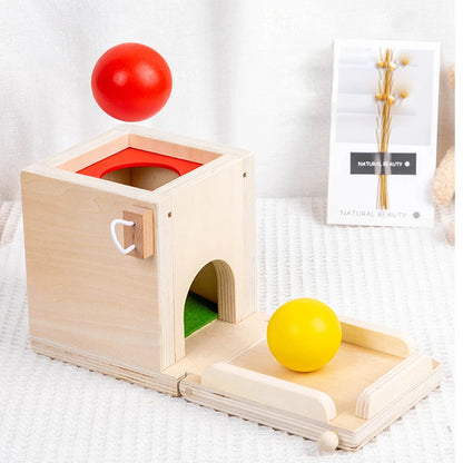 Montessori 4-in-1 Speelset: Objectpermanentie, Muntdrop, Worteloogst & Vormensorteerder